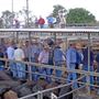 Dubbo Saleyards