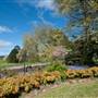 Lady Fairfax Gardens
