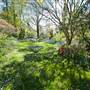 Lady Fairfax Gardens