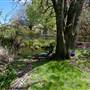 Lady Fairfax Gardens