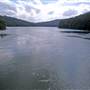 Dungog Area