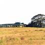Dunmore & Albion Park