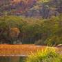 Dunns Swamp