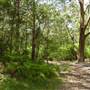 Lane Cove National Park