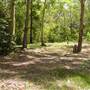 Lane Cove National Park