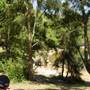 Manly Dam & Reservoir