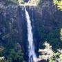 Ellenborough Falls
