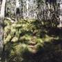 Barrington Tops National Park