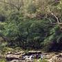 Barrington Tops National Park