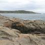 Bass Point Reserve to Maloneys Bay