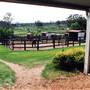 Belmont Park