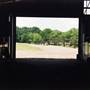 Belmont Park