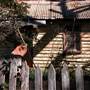 Berrima - Southern Highlands