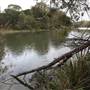 Berrima Reserve