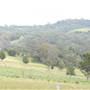 Berry Area Farms