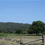 Berry Area Farms