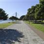 Glebe Foreshore Parks