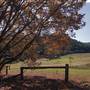 Big Yango House - Yengo National Park