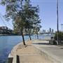 Blackwattle Bay Park