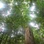 Boorganna Nature Reserve