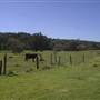 Jamberoo