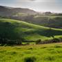 Jamberoo