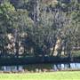 Jamberoo