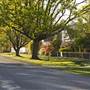 Bowral - Southern Highlands