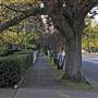 Bowral - Southern Highlands