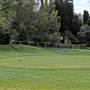 Bowral - Southern Highlands