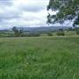 Braidwood surrounds