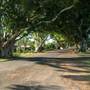 Briemba St, Grafton