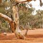 BROKEN HILL - Town & Surrounds