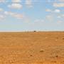 Broken Hill Area (Inc. Silverton)