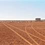 Broken Hill Area (Inc. Silverton)