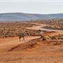 Broken Hill Area (Inc. Silverton)