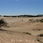 Broken Hill Sand Dunes