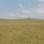 Brooks Point