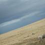 Bungendore Sand Mine