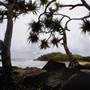 Cabarita Beach (Bogangar)