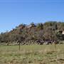 Cabonne County