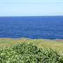 Cape Banks
