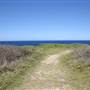 Cape Banks