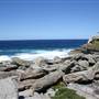 Cape Banks
