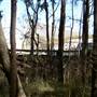 Warriewood Square