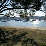 Clareville Beach