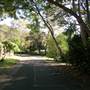 Clareville Beach