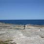 Clovelly Bay