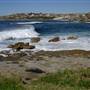 Clovelly Bay