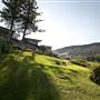 Coalcliff
